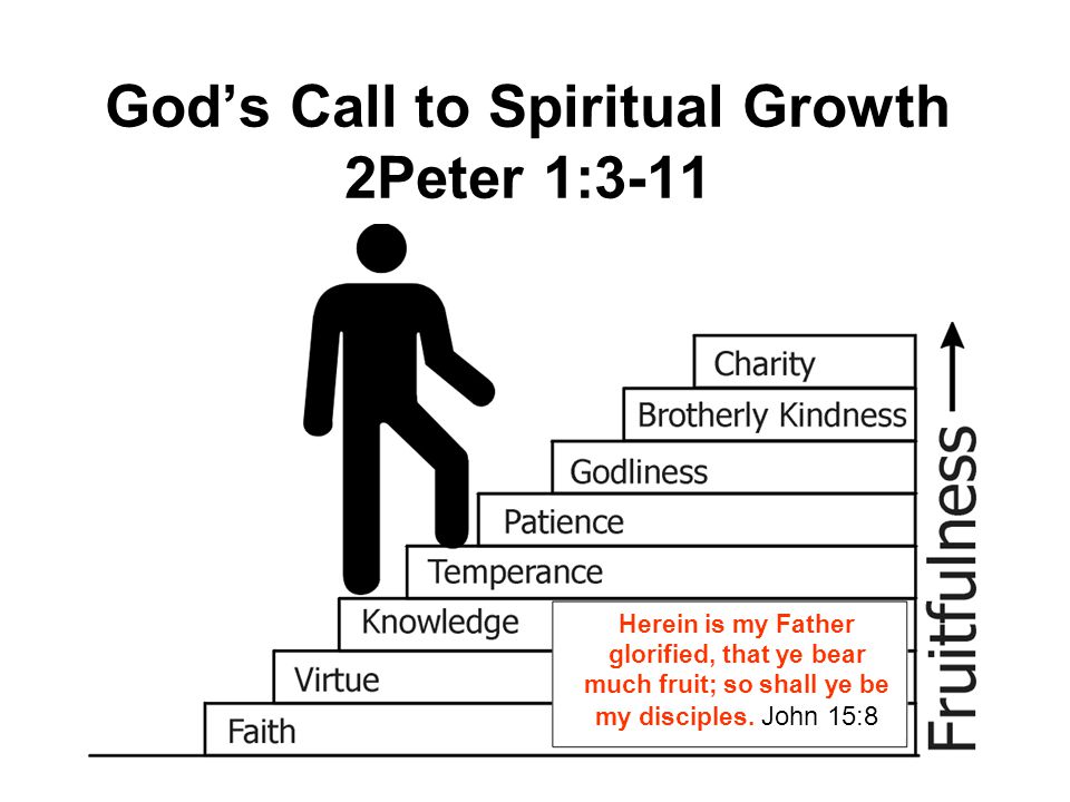 Solid Steps Of Christian Growth A Study Of 2 Peter 1 Ppt