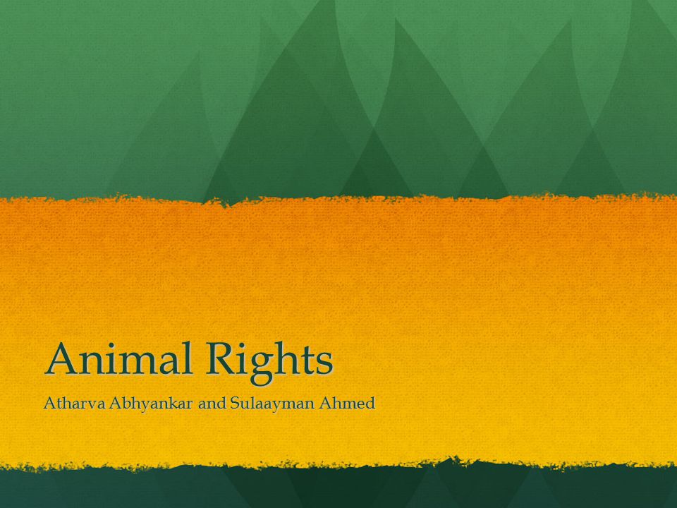 Animal Rights Atharva Abhyankar and Sulaayman Ahmed