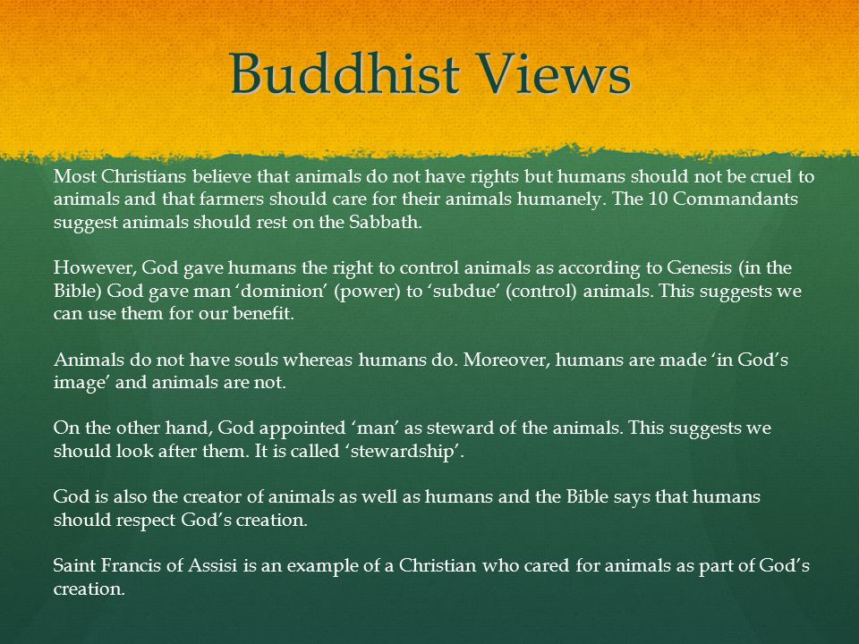 Buddhist Views Most Christians believe that animals do not have rights but humans should not be cruel to animals and that farmers should care for their animals humanely.