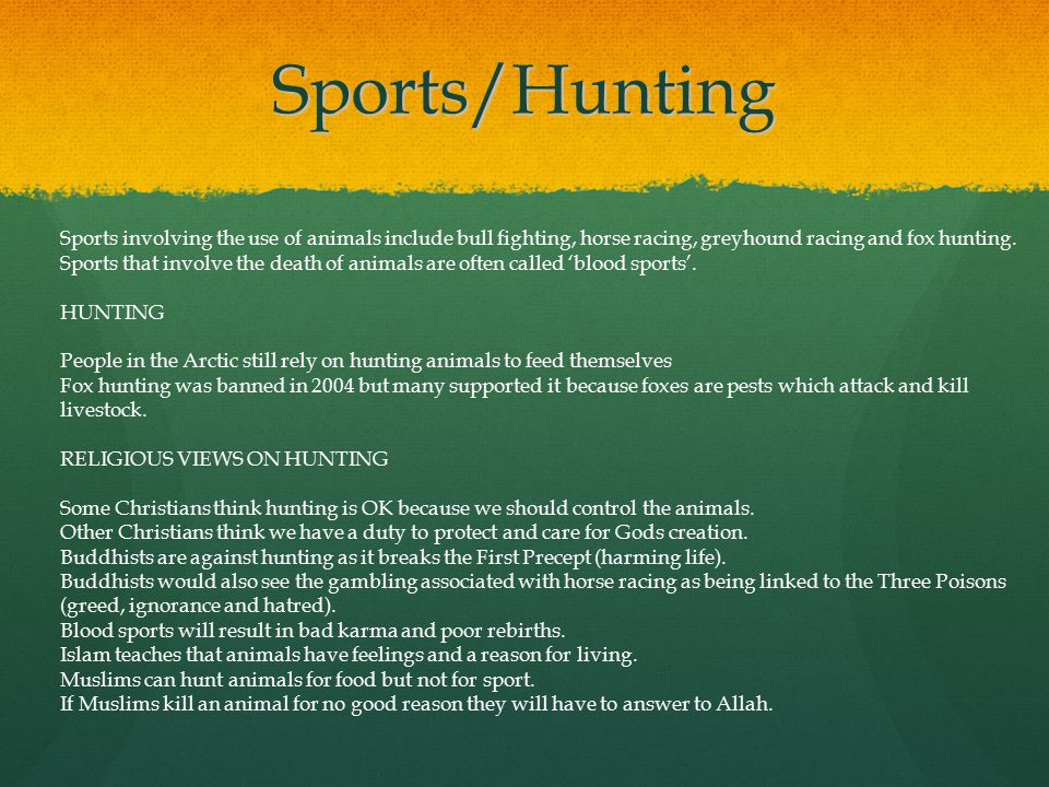 Sports/Hunting Sports involving the use of animals include bull fighting, horse racing, greyhound racing and fox hunting.