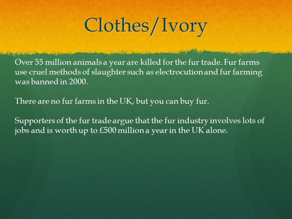 Clothes/Ivory Over 55 million animals a year are killed for the fur trade.
