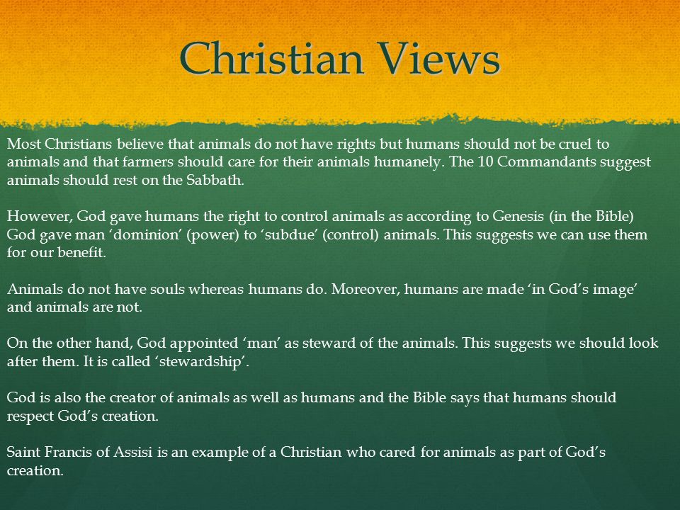 Christian Views Most Christians believe that animals do not have rights but humans should not be cruel to animals and that farmers should care for their animals humanely.