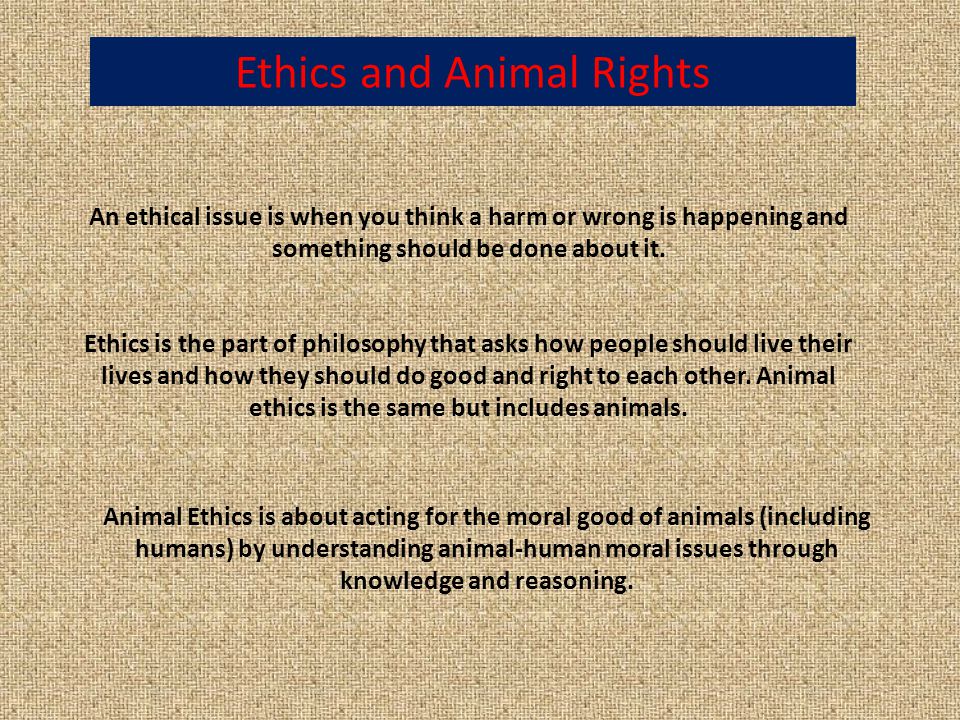 Animal Rights and Ethics……. Ethics is the part of philosophy that asks how  people should live their lives and how they should do good and right to  each. - ppt download