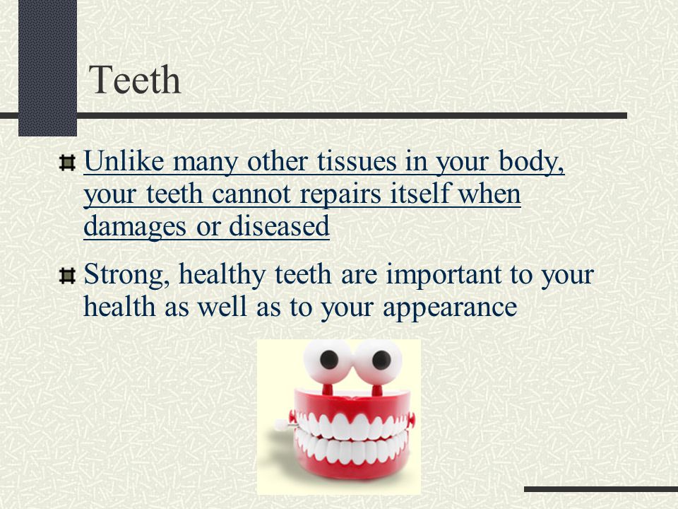 Teeth Unlike many other tissues in your body, your teeth cannot repairs itself when damages or diseased Strong, healthy teeth are important to your health as well as to your appearance
