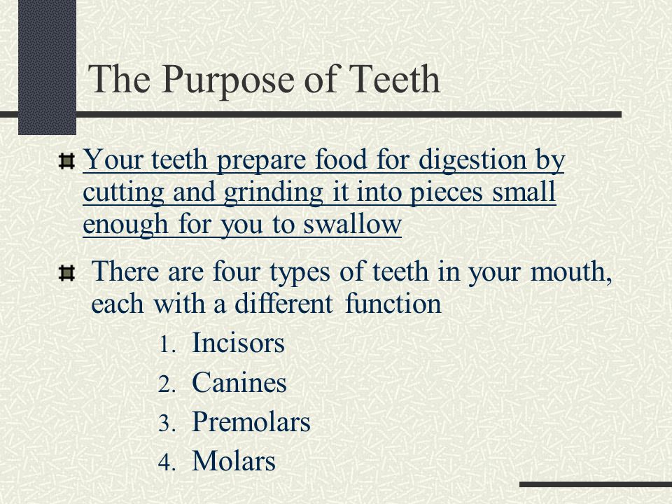 The Purpose of Teeth Your teeth prepare food for digestion by cutting and grinding it into pieces small enough for you to swallow There are four types of teeth in your mouth, each with a different function 1.