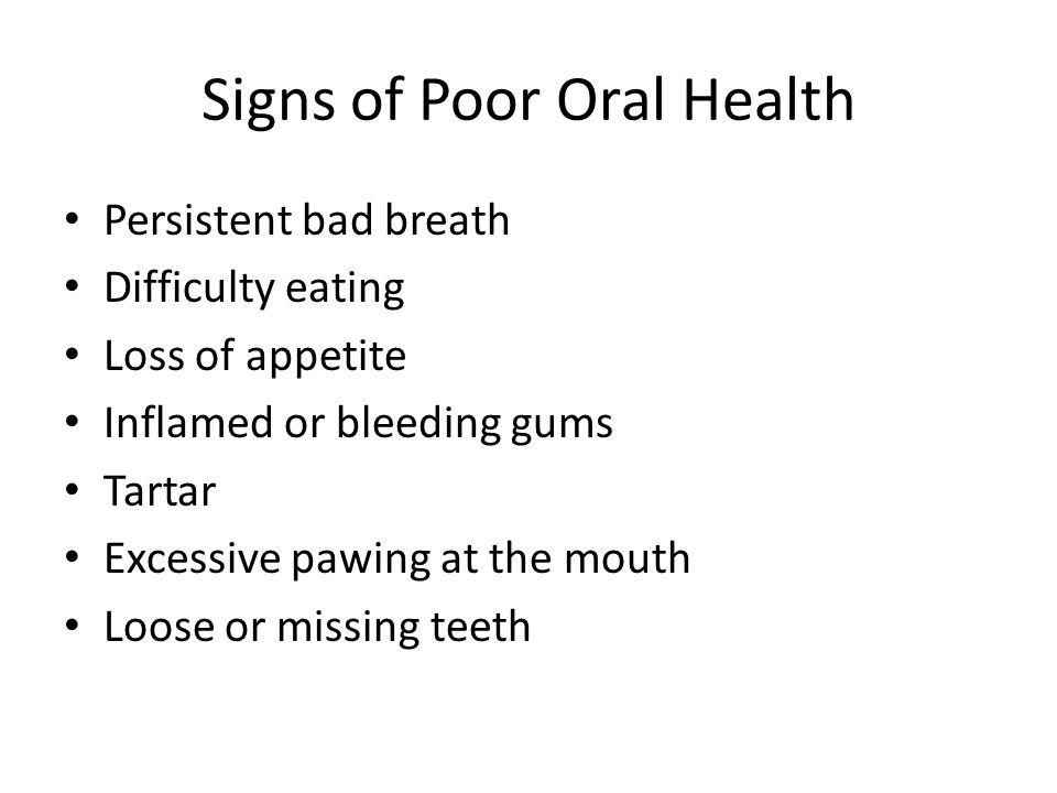 Signs of Poor Oral Health Persistent bad breath Difficulty eating Loss of appetite Inflamed or bleeding gums Tartar Excessive pawing at the mouth Loose or missing teeth