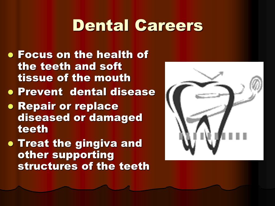 Dental Careers Focus on the health of the teeth and soft tissue of the mouth Focus on the health of the teeth and soft tissue of the mouth Prevent dental disease Prevent dental disease Repair or replace diseased or damaged teeth Repair or replace diseased or damaged teeth Treat the gingiva and other supporting structures of the teeth Treat the gingiva and other supporting structures of the teeth