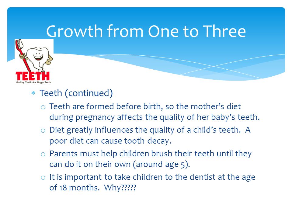  Teeth (continued) o Teeth are formed before birth, so the mother’s diet during pregnancy affects the quality of her baby’s teeth.