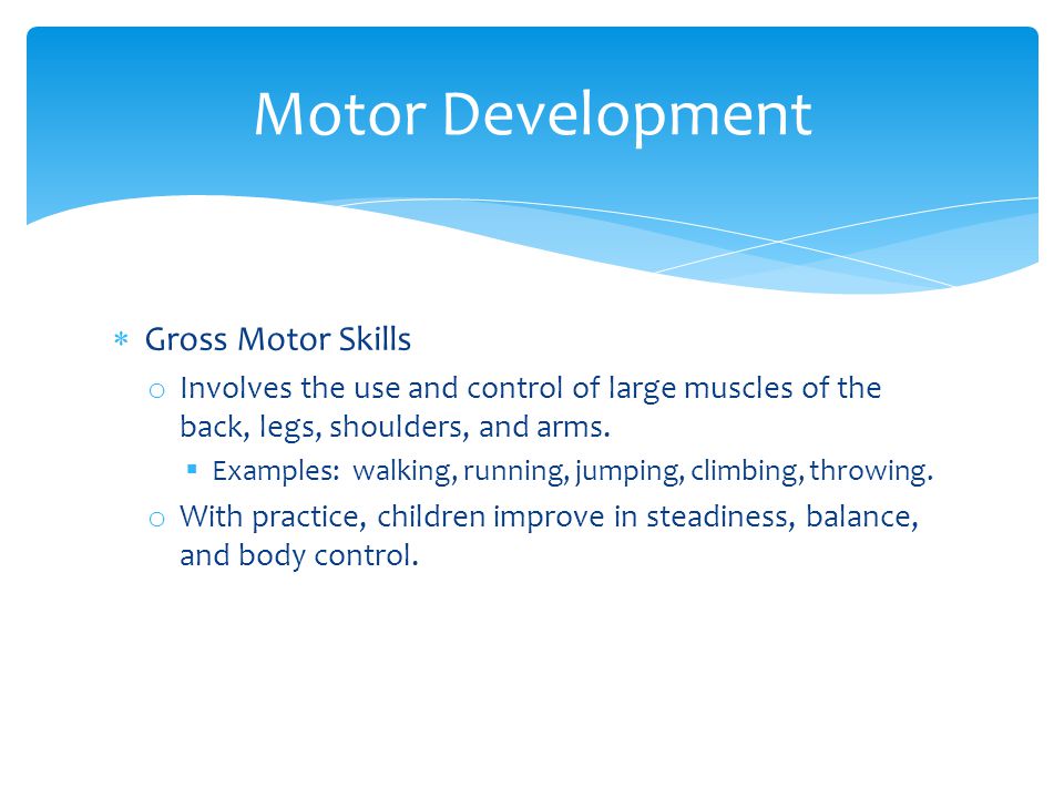  Gross Motor Skills o Involves the use and control of large muscles of the back, legs, shoulders, and arms.