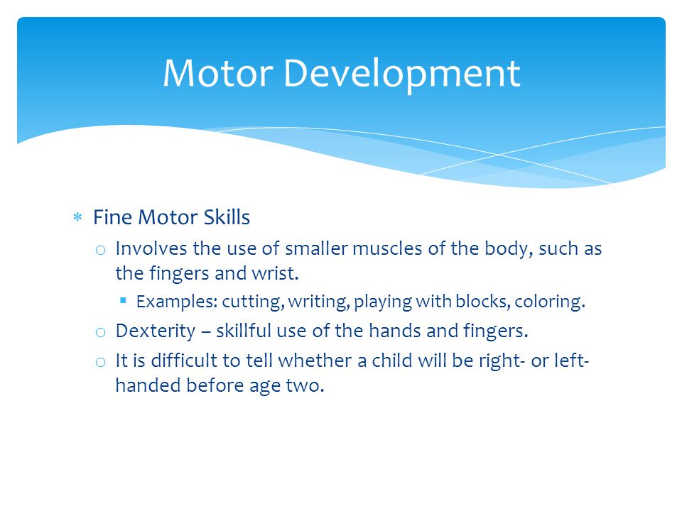  Fine Motor Skills o Involves the use of smaller muscles of the body, such as the fingers and wrist.