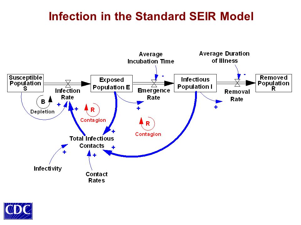 Infection in the Standard SEIR Model