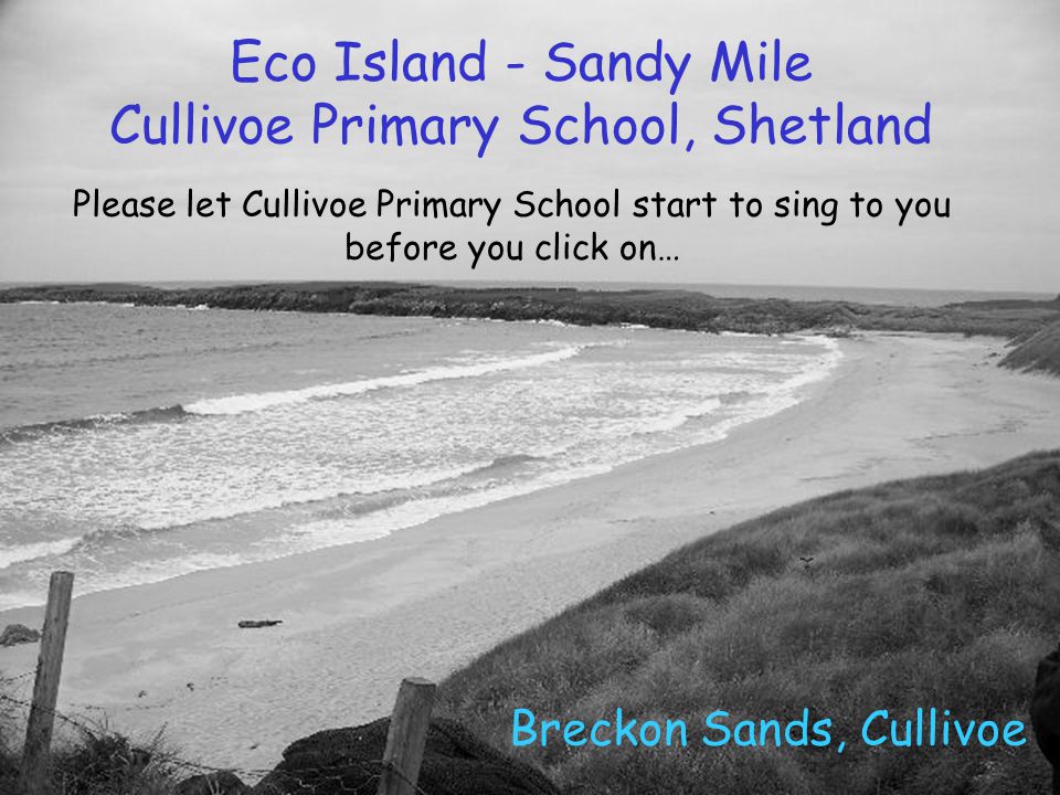 Eco Island - Sandy Mile Cullivoe Primary School, Shetland Breckon Sands, Cullivoe Please let Cullivoe Primary School start to sing to you before you click on…