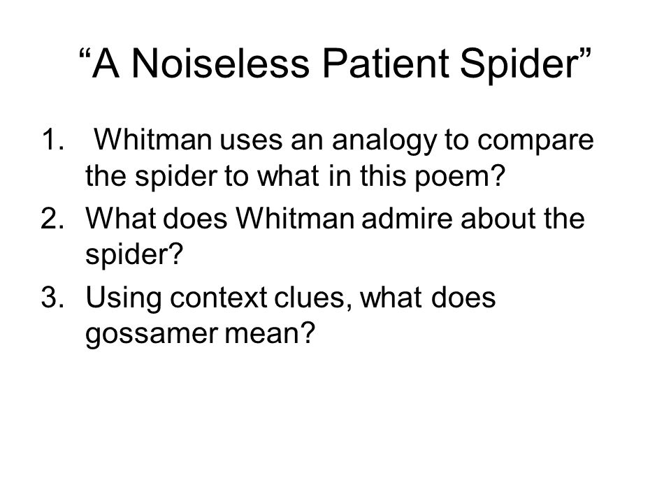 A Noiseless Patient Spider Summary- Watching a spider spin its thread, the speaker compares the insect to his soul.