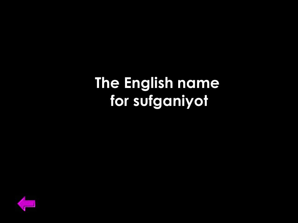 The English name for sufganiyot