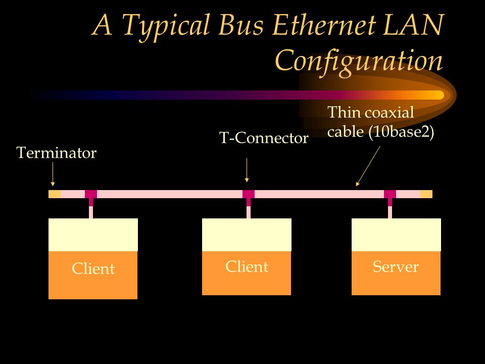 A Typical Bus Ethernet LAN Configuration Client ServerClient Thin coaxial cable (10base2) T-Connector Terminator NIC