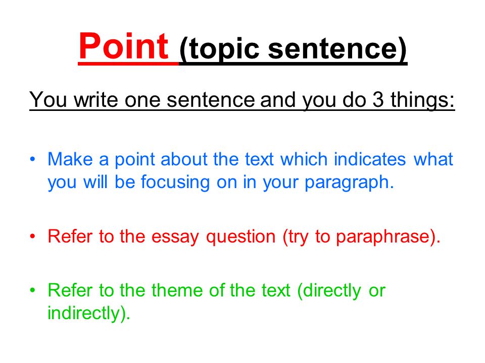 what is topic sentence in essay