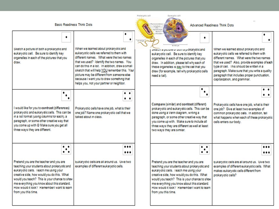 health topics for essays year 6