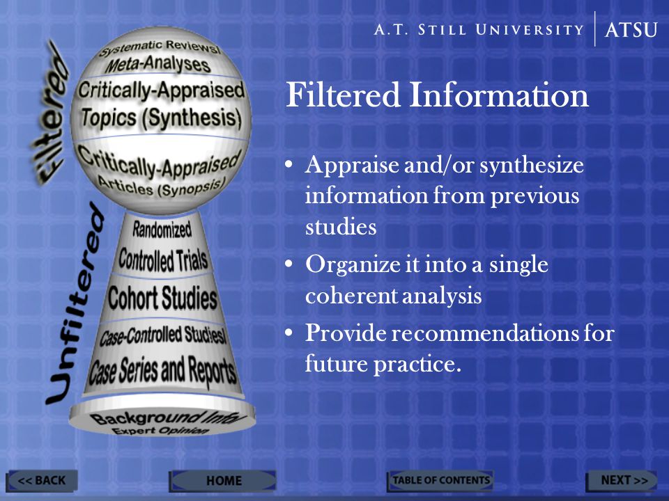 Filtered Information Appraise and/or synthesize information from previous studies Organize it into a single coherent analysis Provide recommendations for future practice.