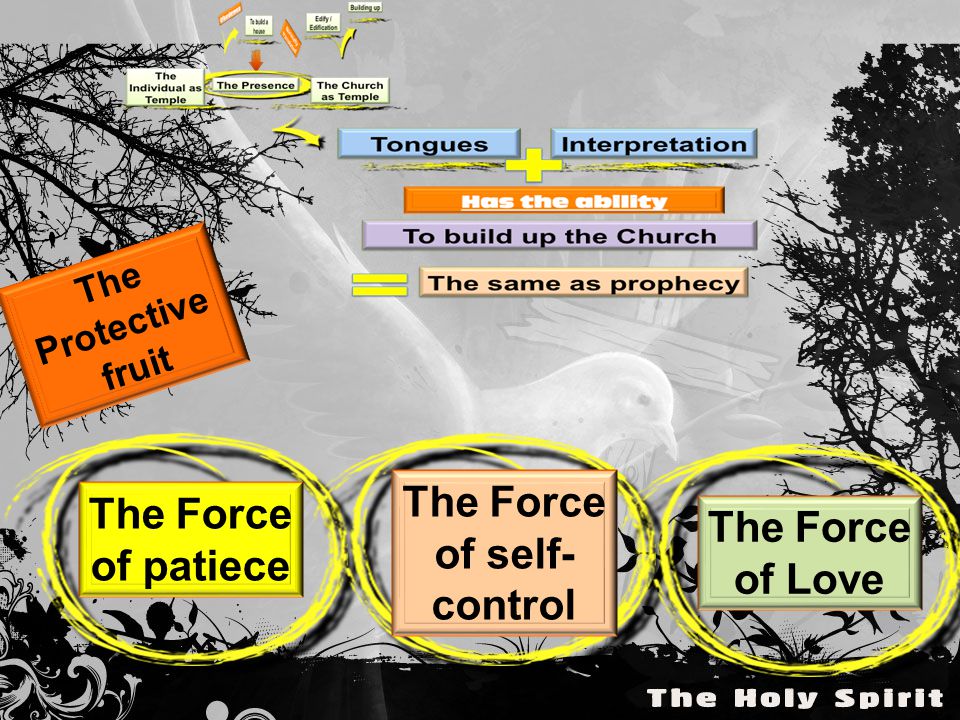 The Protective fruit The Force of patiece The Force of self- control The Force of Love
