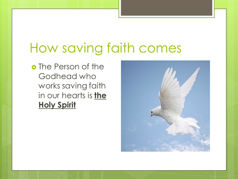 How saving faith comes the Holy Spirit  The Person of the Godhead who works saving faith in our hearts is the Holy Spirit