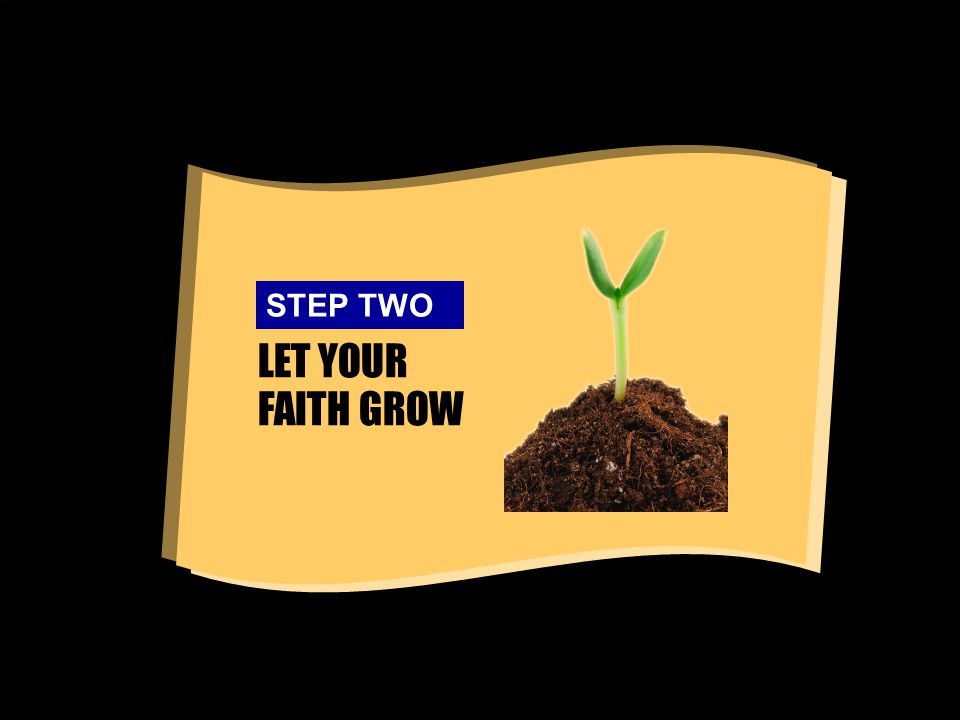 LET YOUR FAITH GROW STEP TWO
