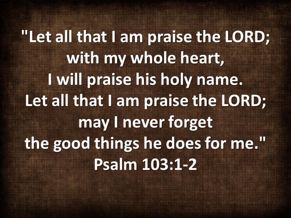 Let all that I am praise the LORD; with my whole heart, I will praise his holy name.