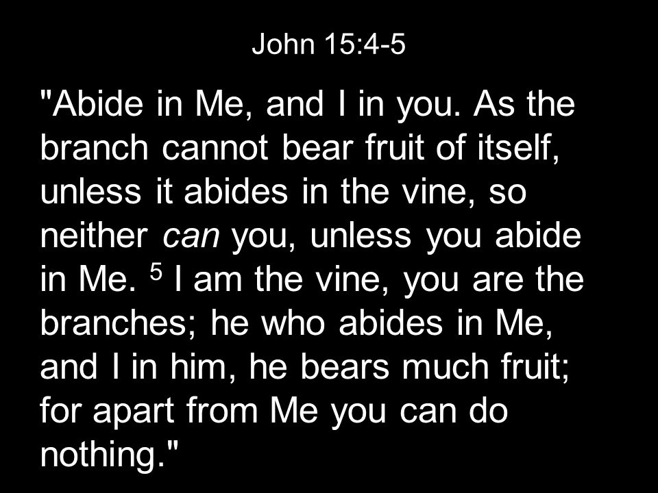 John 15:4-5 Abide in Me, and I in you.