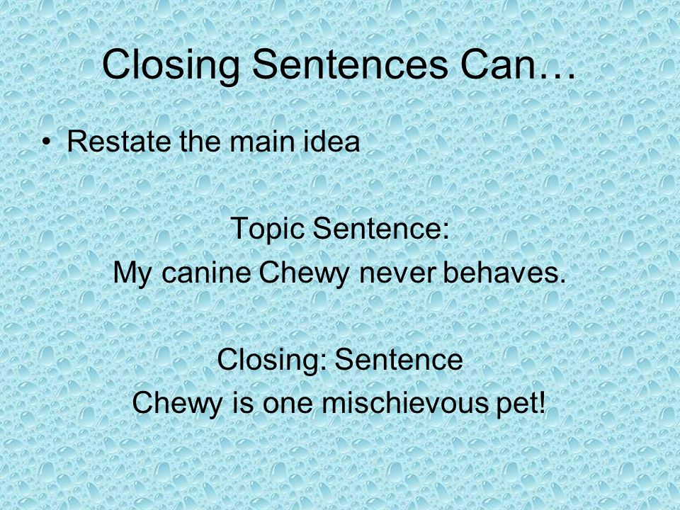 Closing Sentences Can… Restate the main idea Topic Sentence: My canine Chewy never behaves.