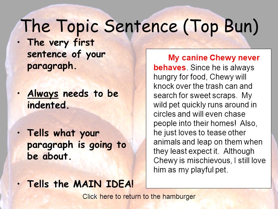 The Topic Sentence (Top Bun) The very first sentence of your paragraph.