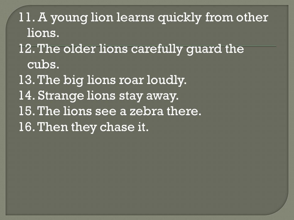 11. A young lion learns quickly from other lions.