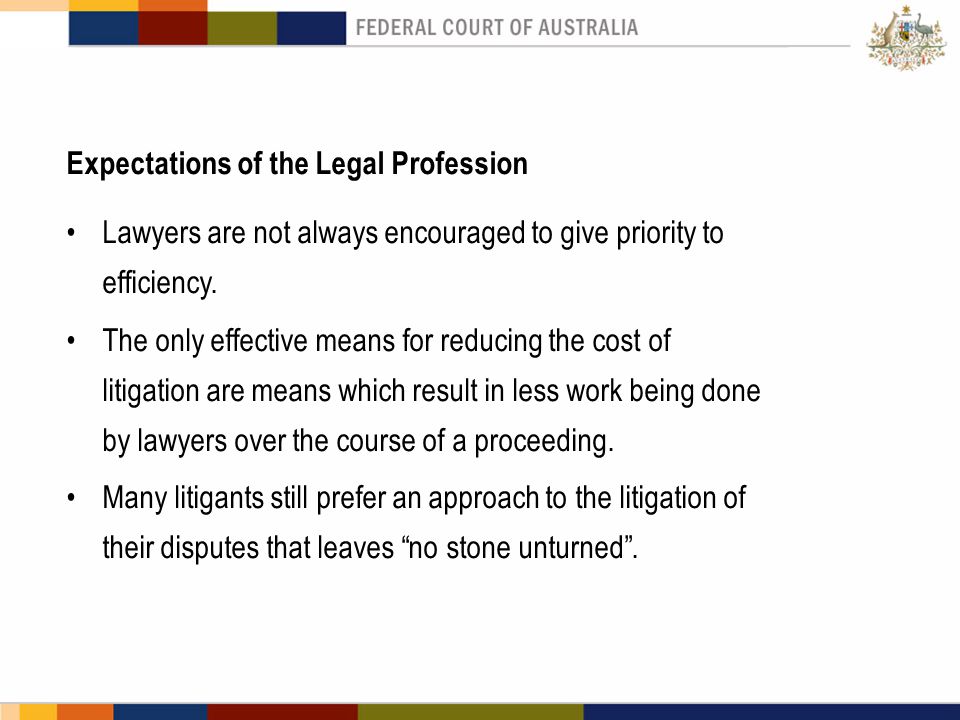 Expectations of the Legal Profession Lawyers are not always encouraged to give priority to efficiency.