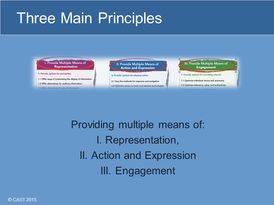© CAST 2015 Three Main Principles Providing multiple means of: I.
