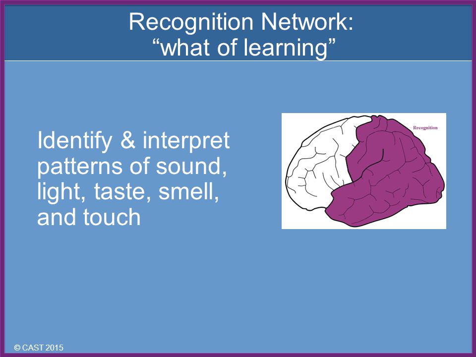 © CAST 2015 Identify & interpret patterns of sound, light, taste, smell, and touch Recognition Network: what of learning