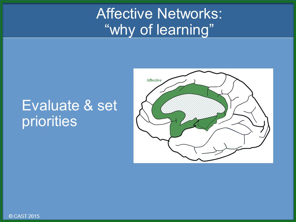 © CAST 2015 Evaluate & set priorities Affective Networks: why of learning