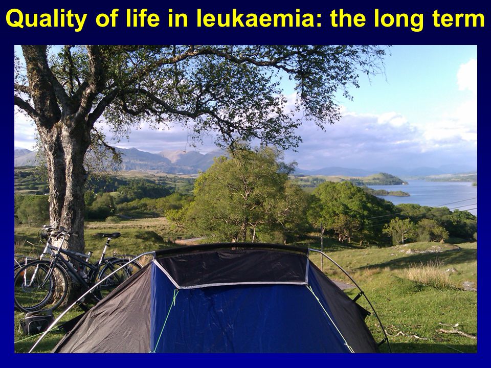 Quality of life in leukaemia: the long term
