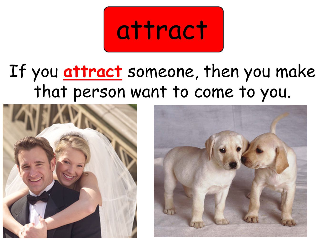 attract If you attract someone, then you make that person want to come to you.