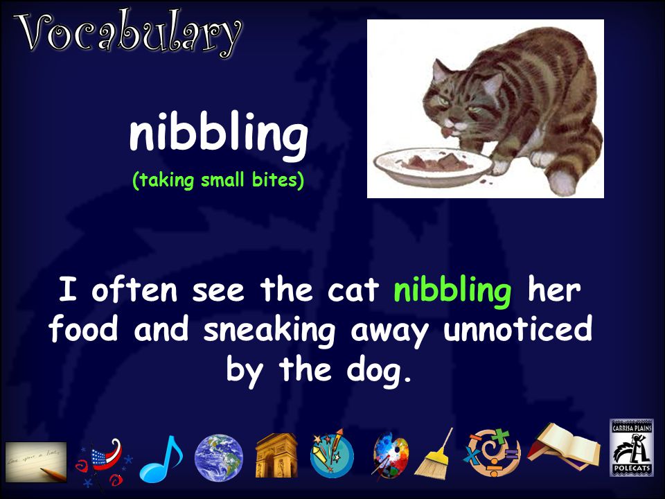 nibbling (taking small bites) I often see the cat nibbling her food and sneaking away unnoticed by the dog.
