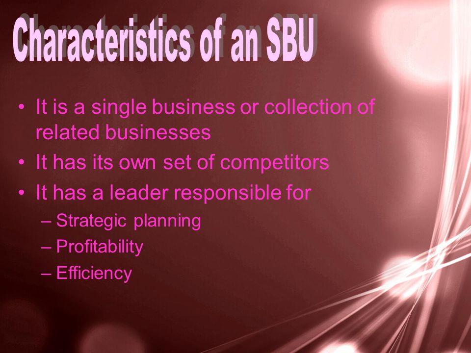It is a single business or collection of related businesses It has its own set of competitors It has a leader responsible for –Strategic planning –Profitability –Efficiency