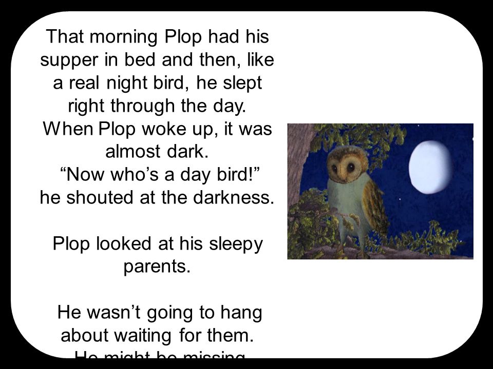 That morning Plop had his supper in bed and then, like a real night bird, he slept right through the day.
