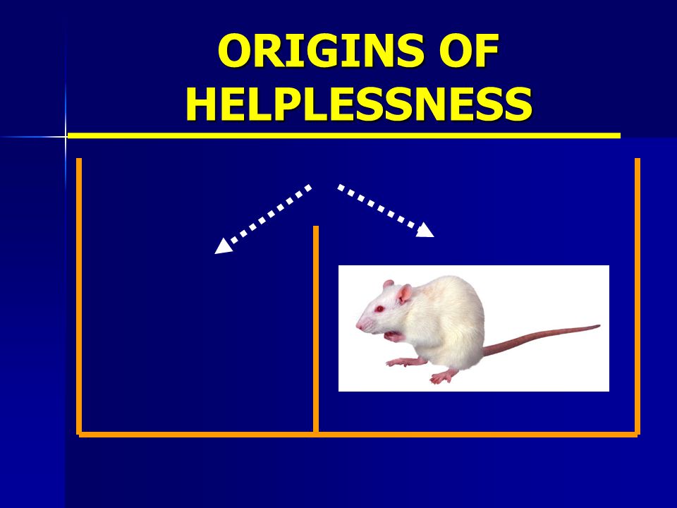 ORIGINS OF HELPLESSNESS