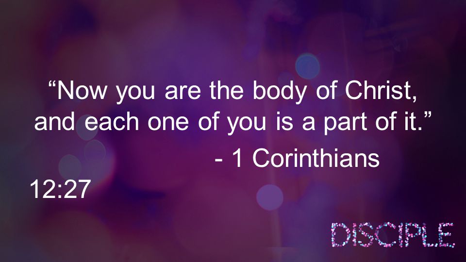 Now you are the body of Christ, and each one of you is a part of it. - 1 Corinthians 12:27