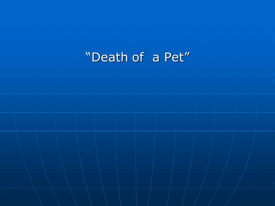 Death of a Pet