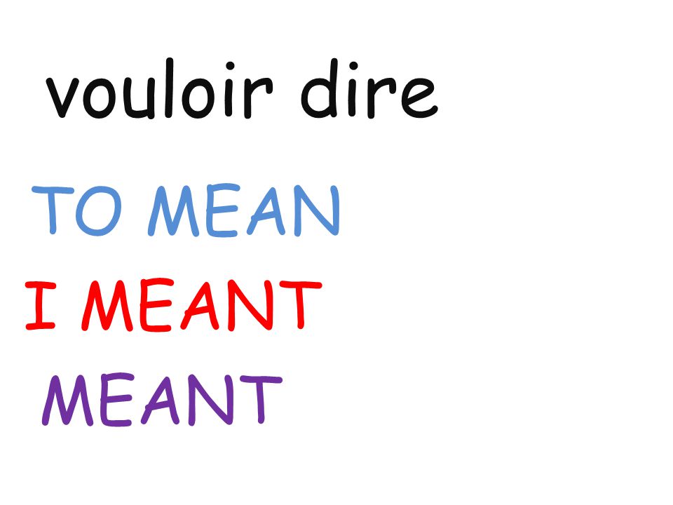 vouloir dire TO MEAN I MEANT MEANT