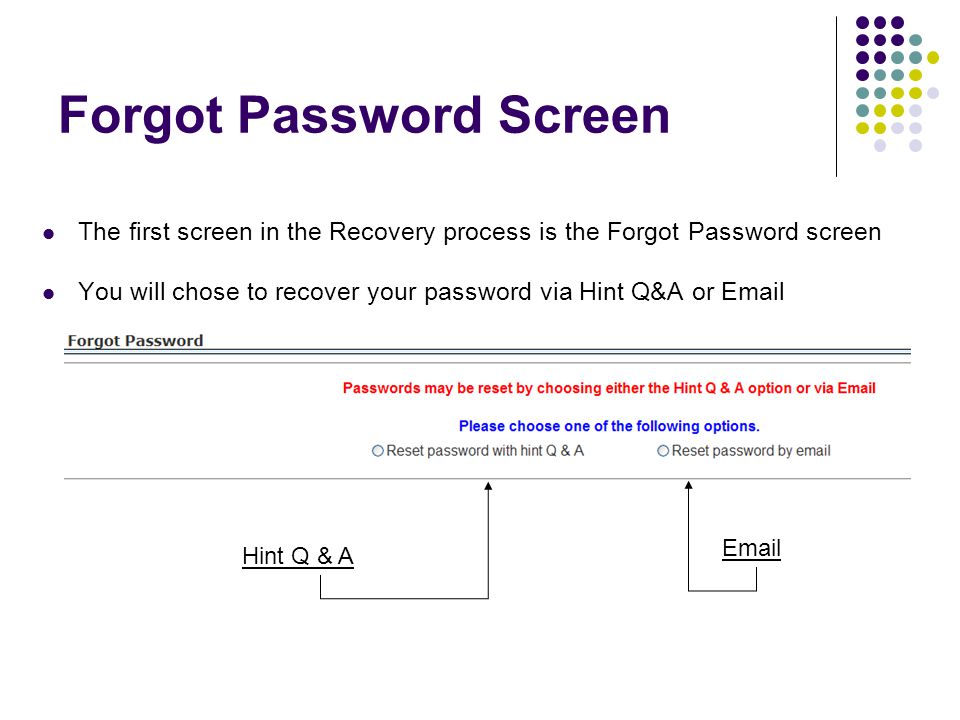 Forgot Password Screen The first screen in the Recovery process is the Forgot Password screen You will chose to recover your password via Hint Q&A or  Hint Q & A