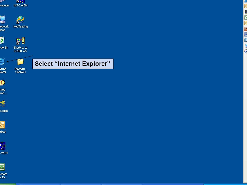 Select Internet Explorer