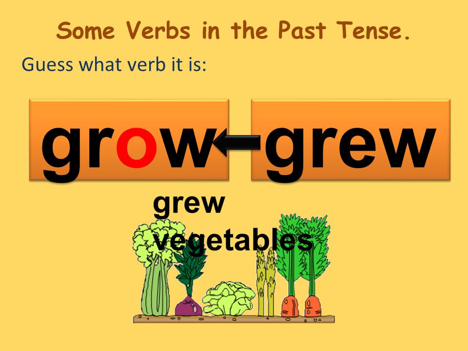 Guess what verb it is: grew grow grew vegetables Some Verbs in the Past Tense.