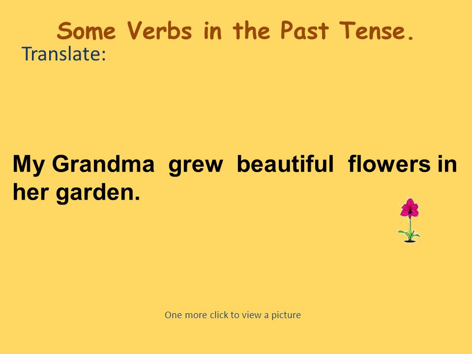 Translate: My Grandma grew beautiful flowers in her garden.