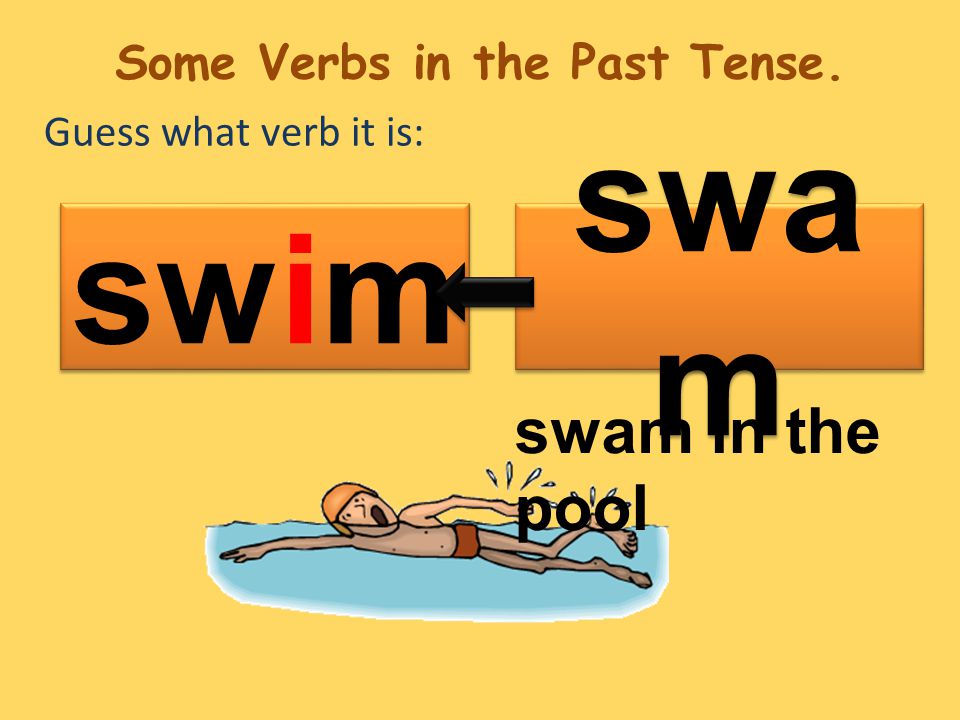 Guess what verb it is: swa m swim swam in the pool Some Verbs in the Past Tense.