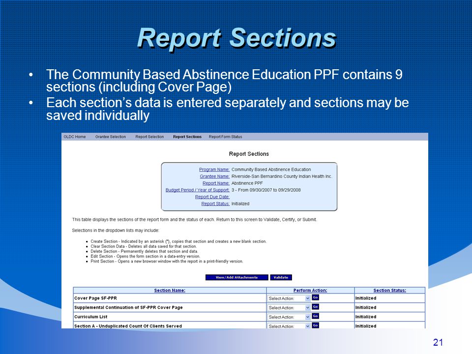 21 Report Sections The Community Based Abstinence Education PPF contains 9 sections (including Cover Page) Each section’s data is entered separately and sections may be saved individually