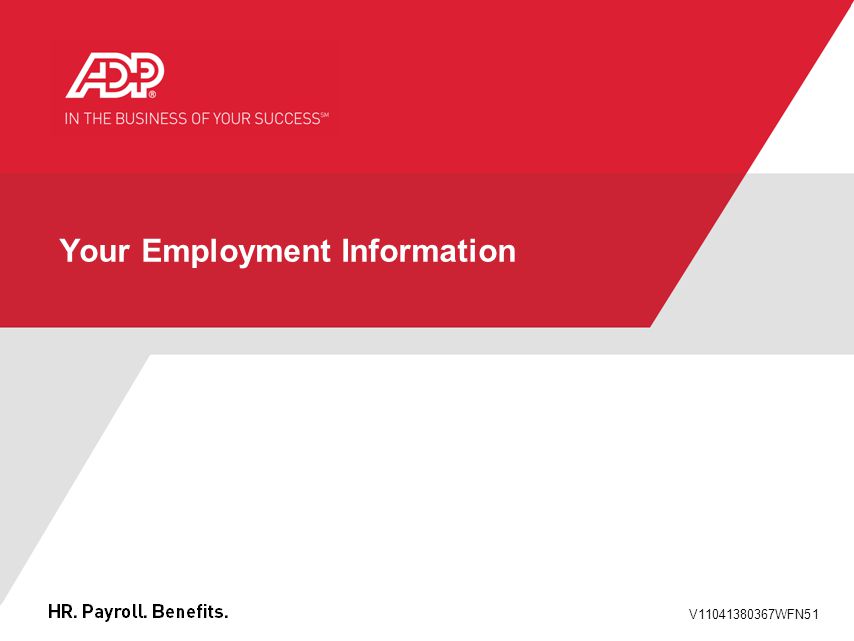 V WFN51 Your Employment Information